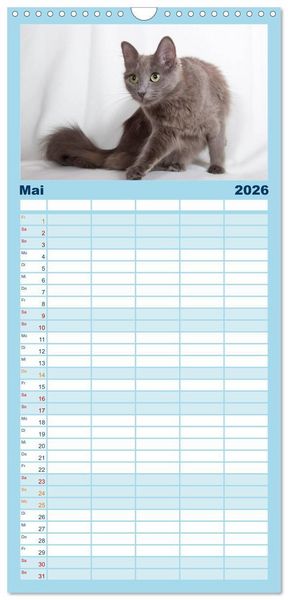 Produktbild: Familienplaner 2026 - Nebelung Katzen mit 5 Spalten (Wandkalender, 21 x 45 cm) CALVENDO