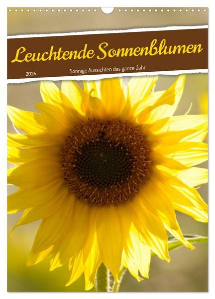Produktbild: Leuchtende Sonnenblumen, sonnige Aussichten das ganze Jahr (Wandkalender 2026 DIN A3 hoch), CALVENDO Monatskalender