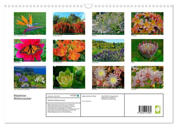 Produktbild: Madeiras Bl&uuml;tenzauber (Wandkalender 2026 DIN A3 quer), CALVENDO Monatskalender