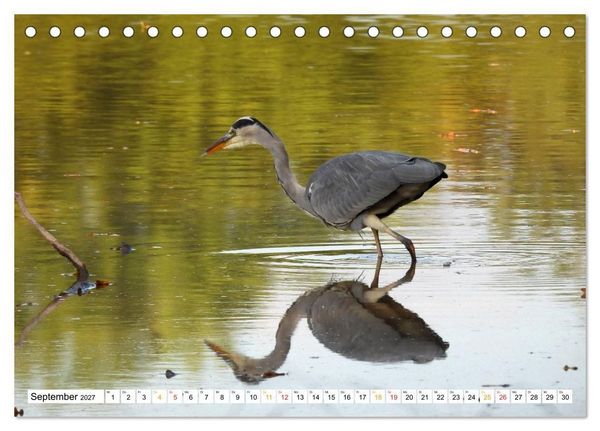 Produktbild: 12 Monate Natur (Tischkalender 2027 DIN A5 quer), CALVENDO Monatskalender