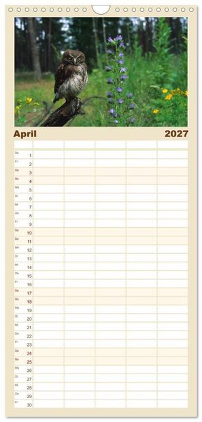Produktbild: Familienplaner 2027 - Heimische Eulen und Greife mit 5 Spalten (Wandkalender, 21 x 45 cm) CALVENDO