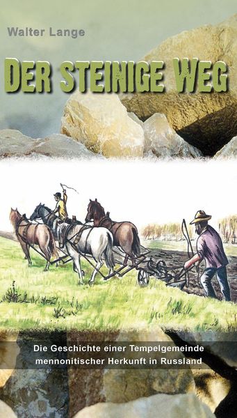 Produktbild: Der steinige Weg