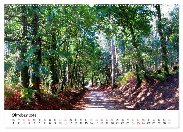 Produktbild: Camino Portugues - Jakobsweg (hochwertiger Premium Wandkalender 2026 DIN A2 quer), Kunstdruck in Hochglanz