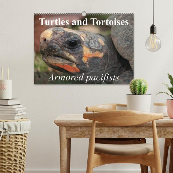 Produktbild: Turtles and Tortoises - Armored pacifists (Wall Calendar 2026 DIN A3 landscape), CALVENDO 12 Month Wall Calendar