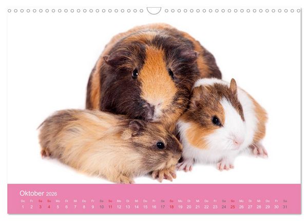 Produktbild: S&uuml;&szlig;e Tier-Babys! (Wandkalender 2026 DIN A3 quer), CALVENDO Monatskalender