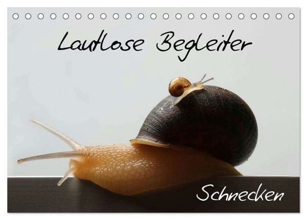 Lautlose Begleiter - Schnecken (Tischkalender 2026 DIN A5 quer), CALVENDO Monatskalender