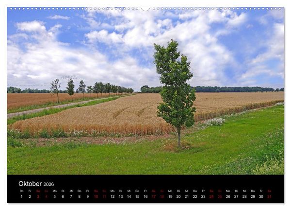 Produktbild: Elberadweg Coswig (Anhalt) (hochwertiger Premium Wandkalender 2026 DIN A2 quer), Kunstdruck in Hochglanz
