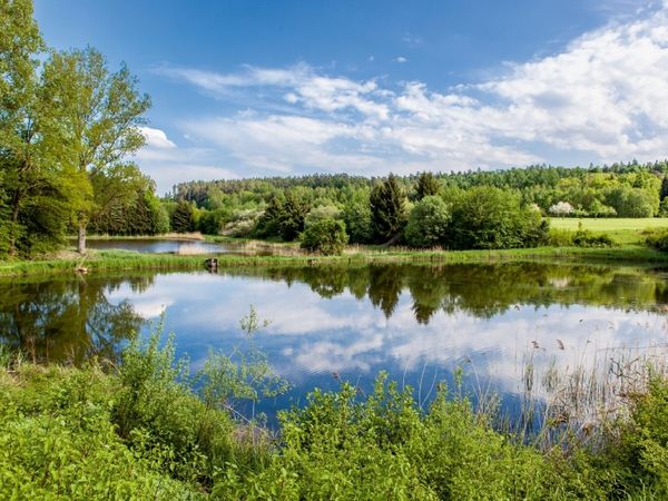 Produktbild: CALVENDO Puzzle Karpfenteich 1000 Teile Puzzle quer | 1000 Teile Lege-Gr&ouml;&szlig;e 64 &times; 48 cm Foto-Puzzle f&uuml;r gl&uuml;ckliche Stunden