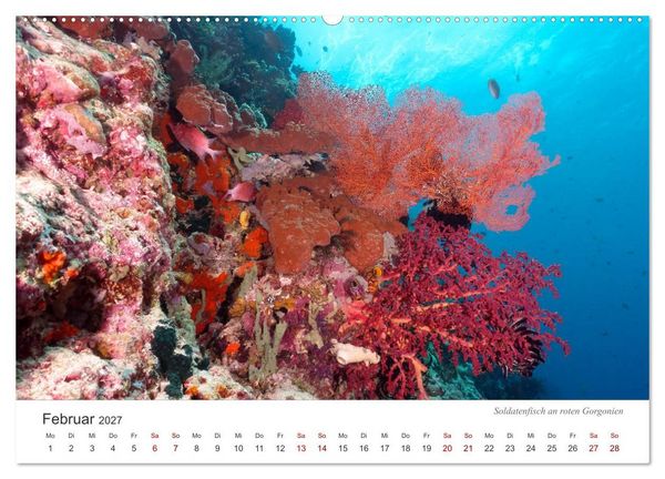 Produktbild: Unterwasser - eine bunte Welt (hochwertiger Premium Wandkalender 2027 DIN A2 quer), Kunstdruck in Hochglanz
