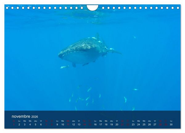 Produktbild: Autour de Nosy Be (Calendrier mural 2026 DIN A4 vertical), CALVENDO calendrier mensuel