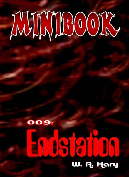 Produktbild: MINIBOOK 009: Endstation