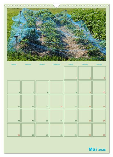 Produktbild: Gartenplaner (Wandkalender 2026 DIN A3 hoch), CALVENDO Monatskalender