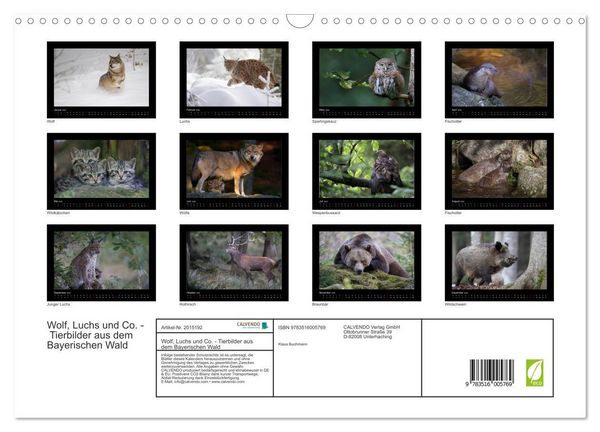 Produktbild: Wolf, Luchs und Co. - Tierbilder aus dem Bayerischen Wald (Wandkalender 2026 DIN A3 quer), CALVENDO Monatskalender