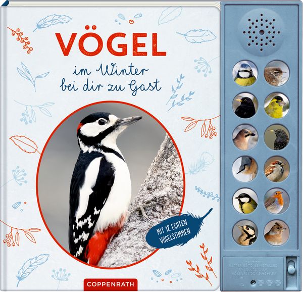 Vögel im Winter bei dir zu Gast, Gebundene Ausgabe von Bärbel Oftring, Coppenrath, 9783649650683