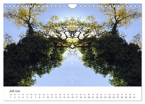 Produktbild: Spiegelwelten - Natur anders sehen (Wandkalender 2026 DIN A4 quer), CALVENDO Monatskalender