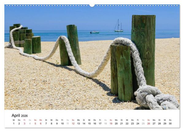 Produktbild: Unter der Sonne Floridas (Wandkalender 2026 DIN A2 quer), CALVENDO Monatskalender
