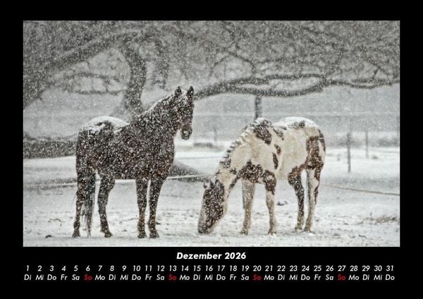 Produktbild: Pferdegefl&uuml;ster 2026 Fotokalender DIN A3