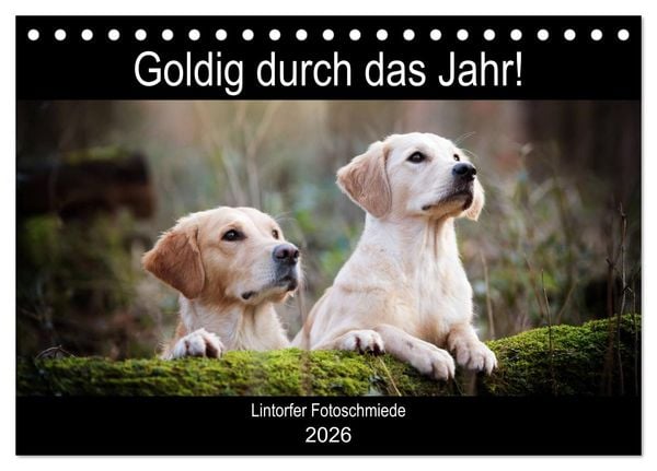 Produktbild: Goldig durch das Jahr! (Tischkalender 2026 DIN A5 quer), CALVENDO Monatskalender