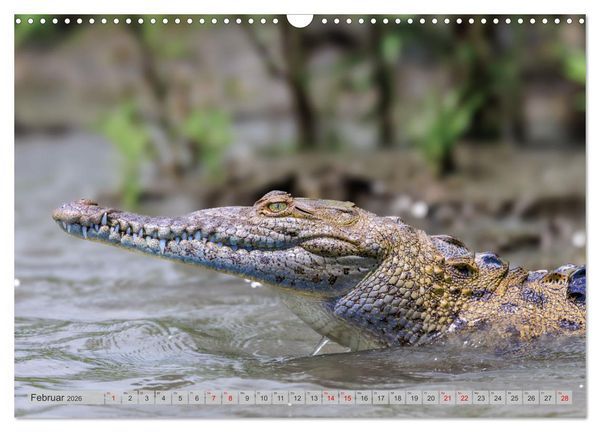 Produktbild: Tropenparadies zwischen Ozeanen Costa Rica (Wandkalender 2026 DIN A3 quer), CALVENDO Monatskalender