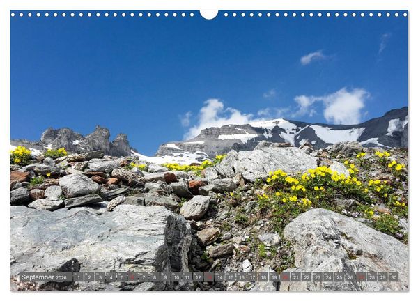 Produktbild: Flora der Alpen (Wandkalender 2026 DIN A3 quer), CALVENDO Monatskalender