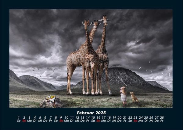Produktbild: Mit Fantasy durch's Jahr 2025 Fotokalender DIN A4