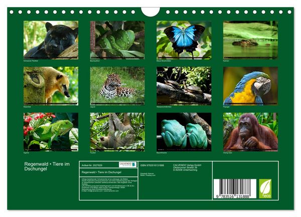 Produktbild: Regenwald &bull; Tiere im Dschungel (Wandkalender 2026 DIN A4 quer), CALVENDO Monatskalender