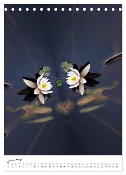 Produktbild: Durchschnittlich - Verzauberte Flora (Tischkalender 2027 DIN A5 hoch), CALVENDO Monatskalender