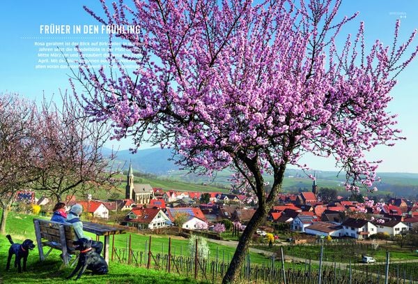 Produktbild: DUMONT Bildatlas Pfalz