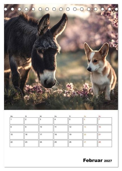 Produktbild: Ein Herz und eine Schnauze - Ein tierisch buntes Miteinander (Tischkalender 2027 DIN A5 hoch), CALVENDO Monatskalender