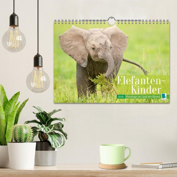 Produktbild: Elefanten Kinder: Winzlinge im Land der Riesen (Wandkalender 2026 DIN A4 quer), CALVENDO Monatskalender