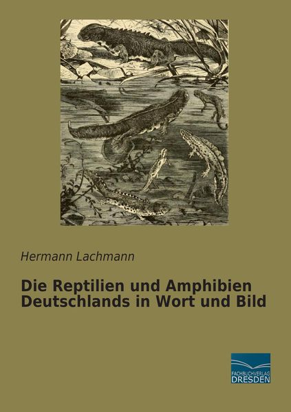 Die Reptilien und Amphibien Deutschlands in Wort und Bild, Taschenbuch von Hermann Lachmann, Fachbuchverlag Dresden, 9783956923722