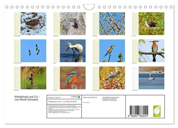 Produktbild: Wiedehopf und Co - von Ren&eacute; Schaack (Wandkalender 2026 DIN A4 quer), CALVENDO Monatskalender