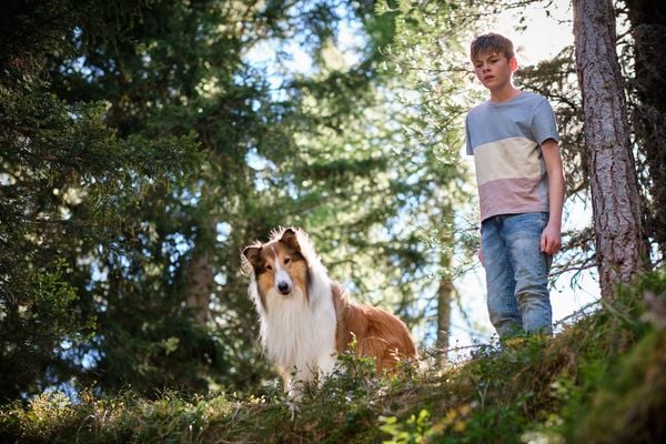 Produktbild: Lassie - Ein neues Abenteuer