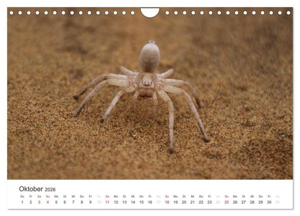 Produktbild: Namibia - Tierische Vielfalt (Wandkalender 2026 DIN A4 quer), CALVENDO Monatskalender