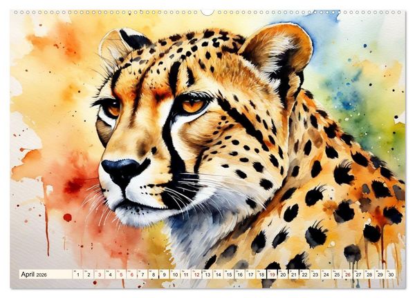 Produktbild: Zauberhafte Aquarelle von Afrikas Tierwelt (hochwertiger Premium Wandkalender 2026 DIN A2 quer), Kunstdruck in Hochglanz