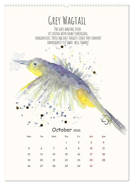 Produktbild: Symbiosis, the story of collaborations in nature (Wall Calendar 2026 DIN A2 portrait), CALVENDO 12 Month Wall Calendar