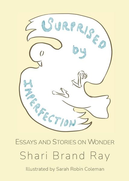 Produktbild: Surprised by Imperfection
