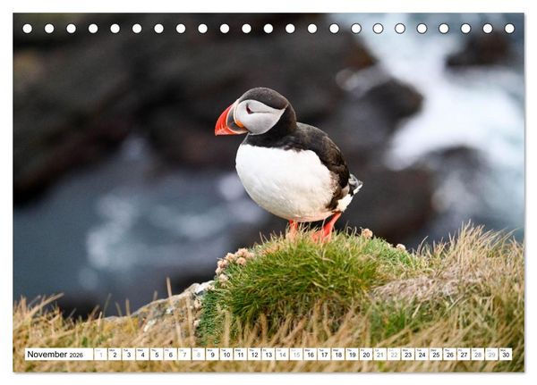 Produktbild: Puffins in Iceland (Desk Calendar 2026 DIN A5 landscape), CALVENDO 12 Month DeskCalendar