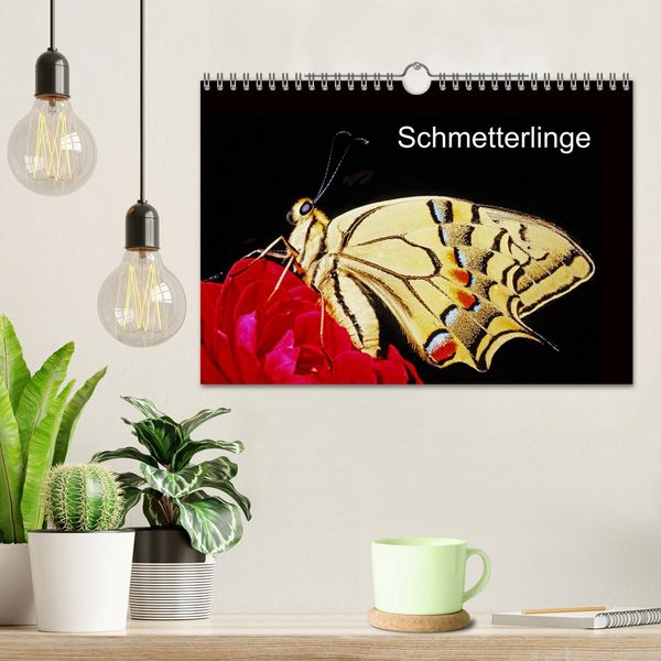 Produktbild: Schmetterlinge (Wandkalender 2026 DIN A4 quer), CALVENDO Monatskalender