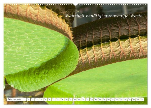 Produktbild: Stille. Japanische Gartenkunst und Weisheiten (hochwertiger Premium Wandkalender 2026 DIN A2 quer), Kunstdruck in Hochglanz