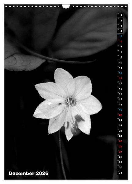 Produktbild: Blumige Graustufen - Schwarz und Wei&szlig; (Wandkalender 2026 DIN A3 hoch), CALVENDO Monatskalender