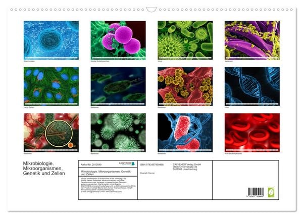 Produktbild: Mikrobiologie. Mikroorganismen, Genetik und Zellen (Wandkalender 2026 DIN A2 quer), CALVENDO Monatskalender