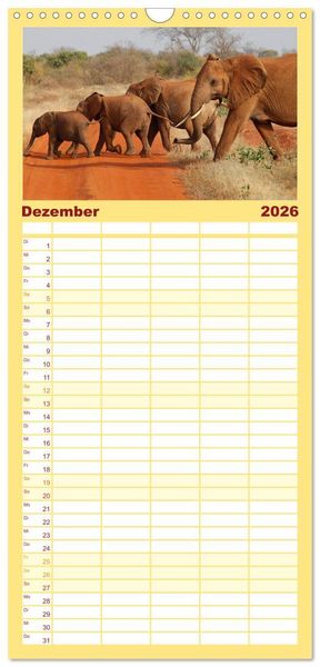 Produktbild: Familienplaner 2026 - Elefanten in Afrika mit 5 Spalten (Wandkalender, 21 x 45 cm) CALVENDO