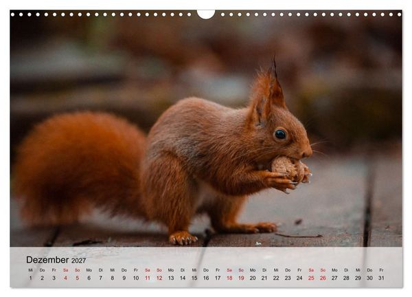Produktbild: Magische Tiermomente (Wandkalender 2027 DIN A3 quer), CALVENDO Monatskalender