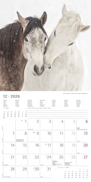 Produktbild: Pferde 2026 - Broschürenkalender 30x30 cm (30x60 geöffnet) - Kalender mit Platz für Notizen - Horses - Bildkalender - Wandplaner - Pferdekalender