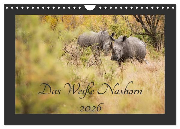 Produktbild: Das Wei&szlig;e Nashorn (Wandkalender 2026 DIN A4 quer), CALVENDO Monatskalender
