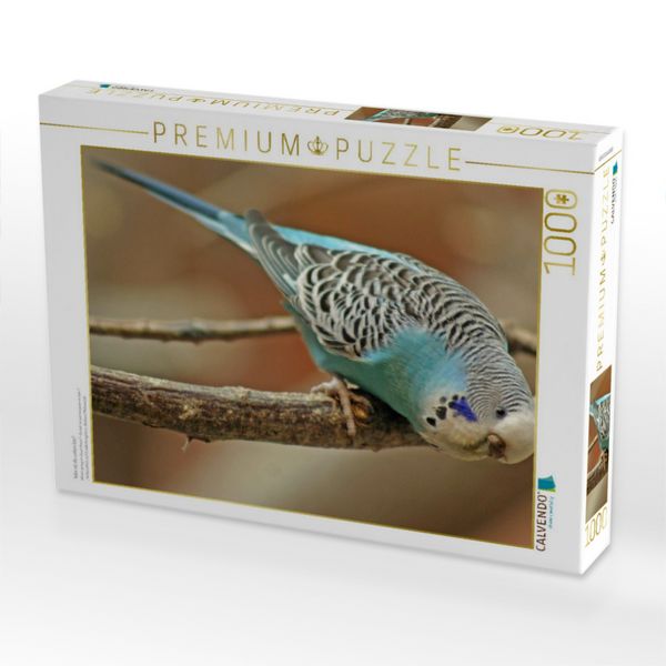 Produktbild: CALVENDO Puzzle Was ist da unten los? | 1000 Teile Lege-Gr&ouml;&szlig;e 64x48cm Foto-Puzzle f&uuml;r gl&uuml;ckliche Stunden