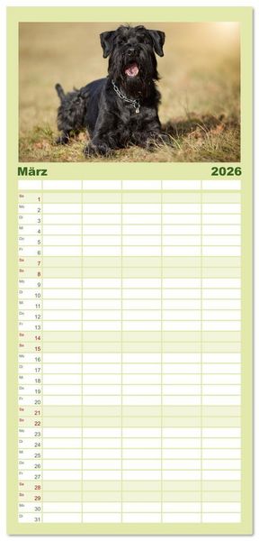 Produktbild: Familienplaner 2026 - Mit dem Riesenschnauzer durch das Jahr mit 5 Spalten (Wandkalender, 21 x 45 cm) CALVENDO