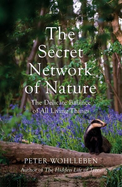 The Secret Network of Nature, Taschenbuch von Peter Wohlleben, Vermilion, 978-1-78470-849-8