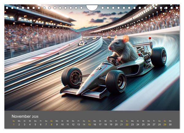 Produktbild: Abenteuerliche Ratten (Wandkalender 2026 DIN A4 quer), CALVENDO Monatskalender